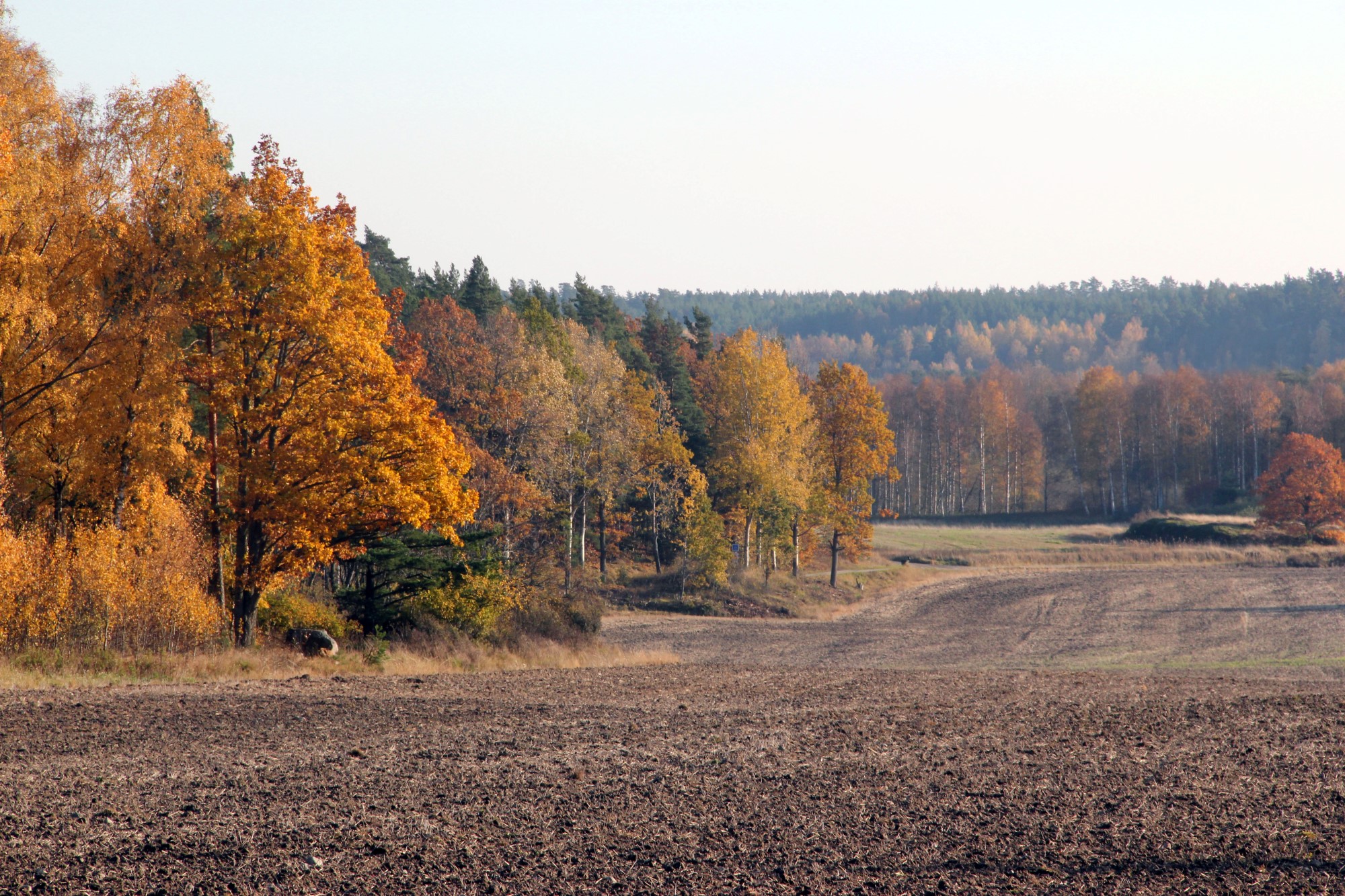 bakgrund
