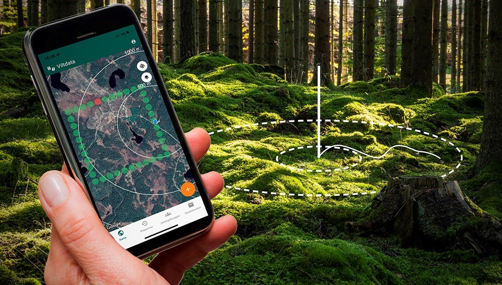 Spillningsinventering av älg och rådjur görs vanligtvis av de lokala jägarna under april och maj och bidrar till viktig fakta om arternas  utveckling. Foto: Mostphotos/Montage