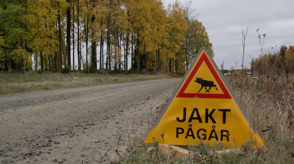 Foto: Mostphotos