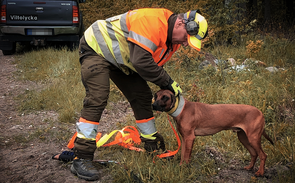 eftersok_jagare_hund2_1000.jpg