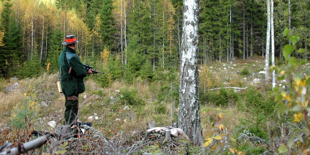 På älgpasset. Foto: Hans ring