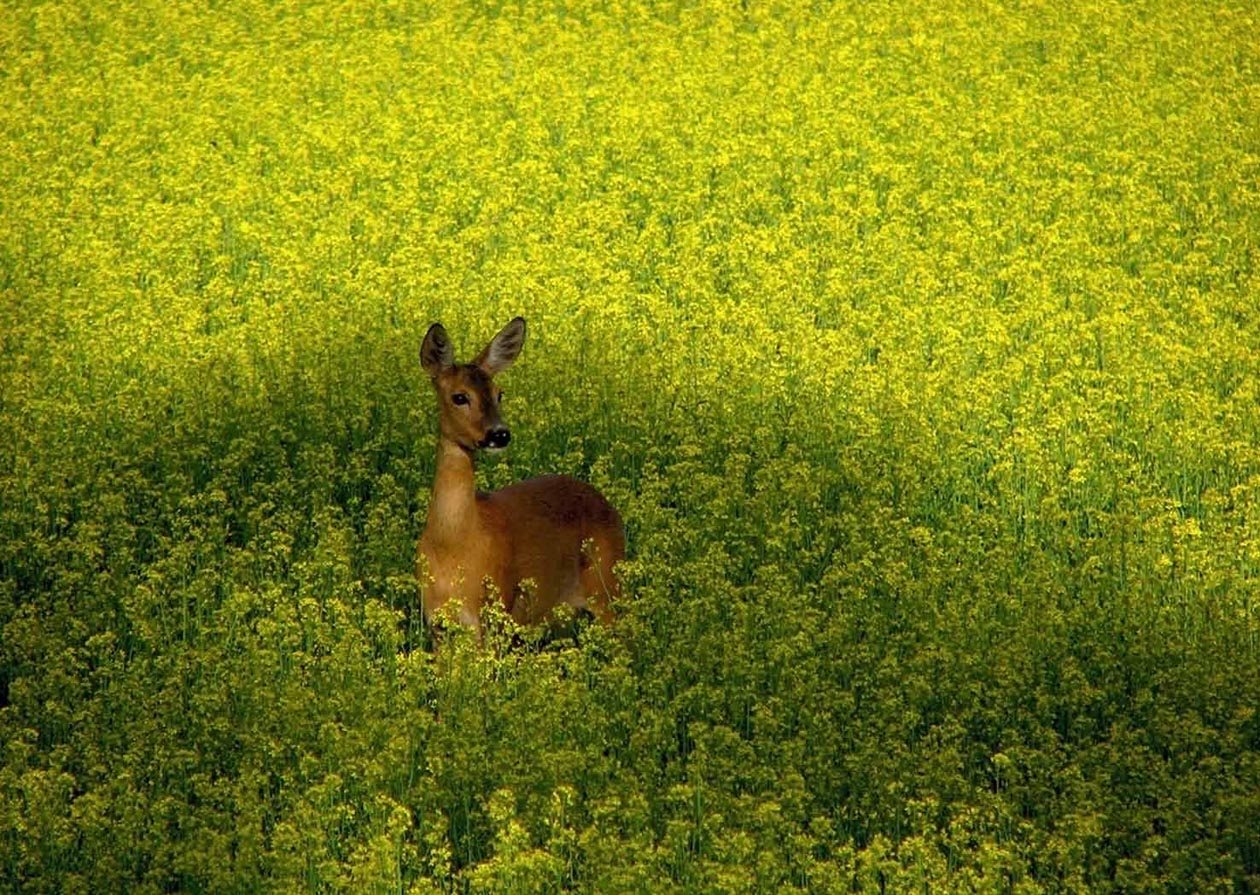 Fotograf: Mari Jensen