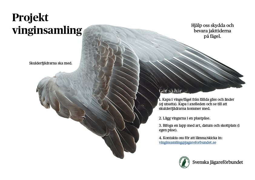 Vinginsamling stegförsteg 20250224 utanQR.jpg