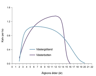 Älgproduktion