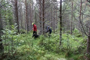 Eftersöksprojektet