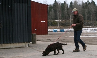 Eftersöksprojektet