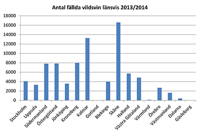 Vildsvin avskjutning länsvis 2013